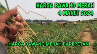 info harga bawang merah hari ini 4 Maret 2024 [upl. by Assetnoc]