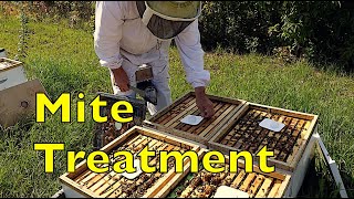 Mite Treatment 2023 [upl. by Vincenty]