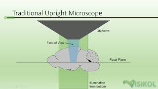 Light Sheet Tutorial [upl. by Saleem693]