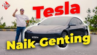 TESLA MODEL 3  Netizen Kata Kalau Berani Naik Genting [upl. by Cannon193]