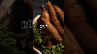 ලෝකයේ මාරාන්තික ආහාර🌭 [upl. by Kusin]