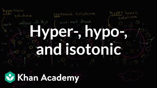 Hypotonic isotonic and hypertonic solutions tonicity  Khan Academy [upl. by Hirz]