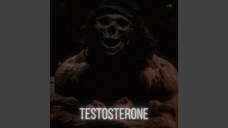 TESTOSTERONE [upl. by Goddart]