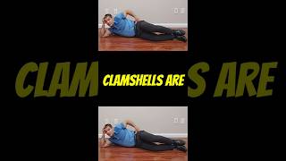 Clamshells might not fix your hip pain Heres why clamshell hippain hippainrelief [upl. by Eirrot]