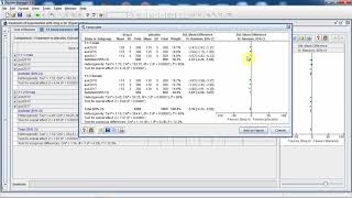 Subgroup and Meta analysis [upl. by Eenitsed]