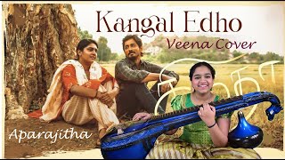 Kangal Edho  Veena Cover  Chithha  Dhibu Ninan Thomas  Aparajitha  Samarpan Channel [upl. by Nnayhs]