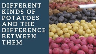 Different kinds of potatoes and the difference between them [upl. by Sawyor]