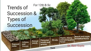 Trends of Succession and Types [upl. by Gavrah]