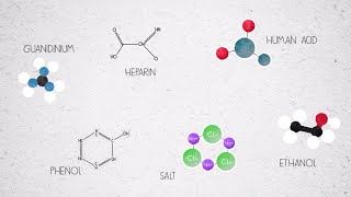 Inhibitors in Reverse Transcriptase Reaction [upl. by Schonfield]