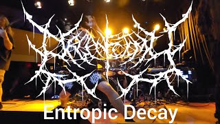 Organectomy  Entropic Decay [upl. by Halford]