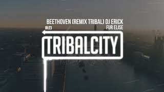 Beethoven Remix Tribal Dj Erick  Fur Elise [upl. by Lapointe]