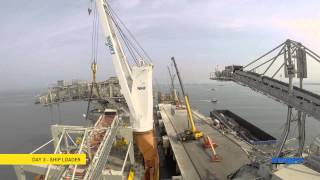 BigLifts Happy Diamond  Discharge of Intermediate Conveyor Shiploader and Tripper Car [upl. by Nyrehtak]