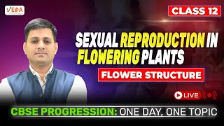 Flower Structure  Sexual Reproduction in Flowering Plants  class 12  Biology  One Day One Topic [upl. by Tilden]