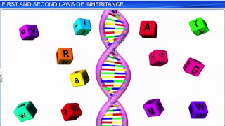 CBSE Class 12 Biology  Principles of Inheritance and Variation Part 1  Full Chapter [upl. by Savadove]