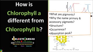 Difference between Chlorophyll a and Chlorophyll b in photosynthesis [upl. by Thad882]