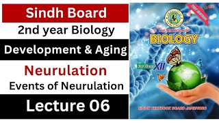 events of neurulation  development and aging  class 12 biology Sindh board New [upl. by Siva]