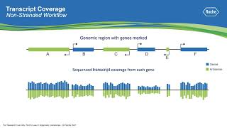 What is Stranded RNA Sequencing [upl. by Fanchet]