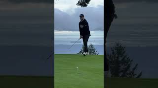 Next level short game shot [upl. by Yate]