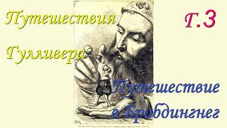 Дж Свифт Путешествия Гулливера Путешествие в Бробдингнег Г 3 [upl. by Pearle]