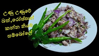 Lets make a salmon salad easily  රසම රස සැමන් සම්බෝලේ  Episode 50 [upl. by Rekoob457]