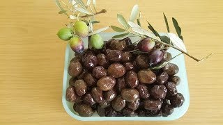 Siyah zeytin nasıl yapılır sofralık zeytin yapımıaztuzlu zeytin yapım [upl. by Ellerred]