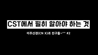 CST에서 필히 알아야 하는 것 미주신경과 친구들 2 [upl. by Irahs]