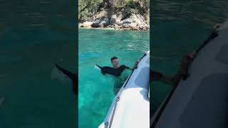 Nos cargamos a Nes 🙃familiar funny viralvideo pets pet petlove boating boat sea sailing [upl. by Omissam697]