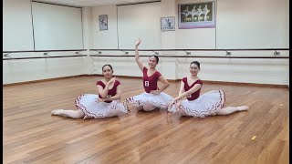 Discovering Repertoire  FORMS Ballet and Dance Centre ballet [upl. by Yarazed]