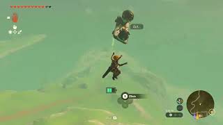 Korok Space Program Test Flight 2 [upl. by Colin]