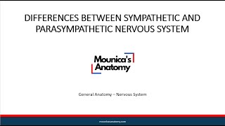 General Anatomy  Differences between Sympathetic and Parasympathetic Nervous System [upl. by Lammaj]