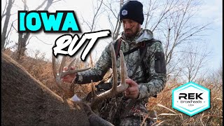 Iowa Rut Hunt  BUCK DOWN  REK HXP Broadhead [upl. by Alemat48]