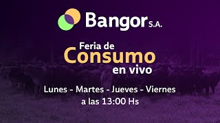 EN VIVO  Feria de Consumo de Bangor SA [upl. by Kowal]