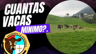 CUANTAS VACAS MINIMO NECESITAMOS PARA QUE UNA PEQUEÑA LECHERIA SEA EFICIENTE Y RENTABLE [upl. by Yoshiko]