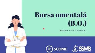 Bursa omentala  Sesiunile de Mentorat SCOME  Anatomie Anul 2 Semestrul 1 [upl. by Aicnorev]