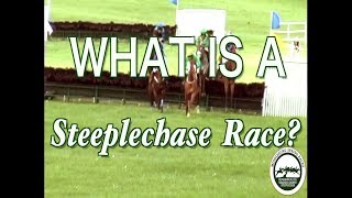 What is a Steeplechase race Horse racing in Virginia [upl. by Kitty]