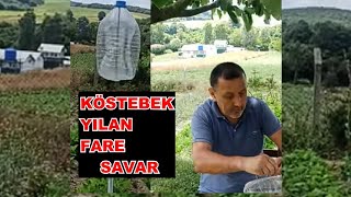 KÖSTEBEKKUŞ YILAN DOMUZFARE TİLKİKURT KOVUCUMOLEBIRDSNAKEPIGMOUSEFOXWOLF REPELLENT [upl. by Penthea424]