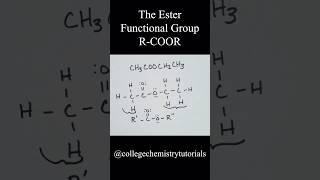 The Ester Functional Group [upl. by Cline]