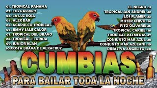 CUMBIAS TROPICALES PARA BAILAR🌴CUMBIAS TROPICALES 2024🍉ACAPULCO TROPICALTROPICAL FLORIDA1 [upl. by Odnomor781]