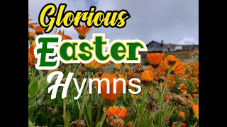 Glorious Easter HymnsSongsKriss Rhoda SheshyLifebreakthroughMusic [upl. by Elnukeda]