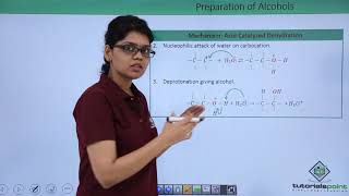 Class 12th – Methods of Preparation  Acid Catalyzed Hydration  Tutorials Point [upl. by Anabahs]