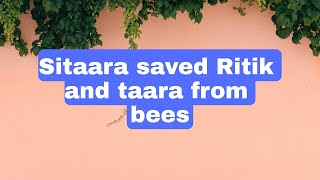 Sitaara saved Ritik and taara from bees [upl. by Gnouhk]