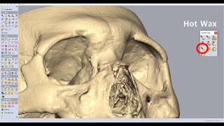 Geomagic freeform – Part 1 How to add ① [upl. by Coveney]