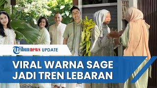 Viral Warganet Ramairamai Pakai Sage Green Jadi Busana Tren Lebaran 2023 hingga Trending Topik [upl. by Sudoeht622]