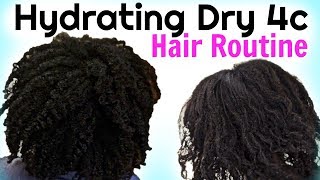 How To MOISTURIZE DRY Natural HAIR To Maximum Hydration [upl. by Nailuj572]