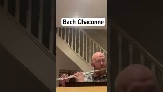 Stringcrossing is definitely easier on the violin  Bach Chaconne arranged by Denis BouriakovWibb [upl. by Bobina]