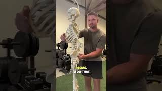 The BEST Psoas Release You’ve Never Tried hipflexors hipflexor psoas lowbackpain [upl. by Thad]