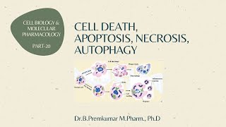 Cell death  Apoptosis Necrosis Autophagy  CBMP  Part20 [upl. by Narad212]