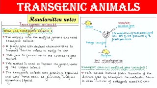 Transgenic animals  How to make  Applications [upl. by Stannwood715]