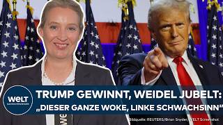 USWAHL 2024 Donald Trump  politisches Vorbild AfDChefin Alice Weidel zeigt ihre Bewunderung [upl. by Ehtylb188]