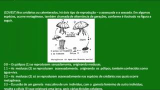 Revisão sobre a reprodução dos cnidários  Zoologia  Biologia [upl. by Ellienad]